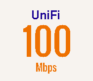 UniFi Pro Plan™ 100Mbps